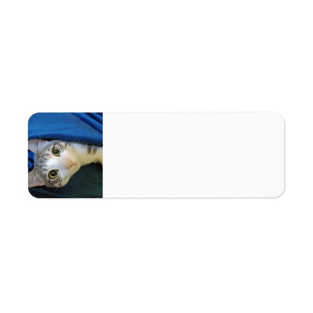 Cosy Bengalisch Chat Bobby Rücksendeadresse (Vorne)