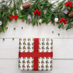 Cosy Christmas Kiwi Geschenkpapier