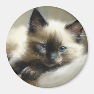 Cosy Companion Siamese Kitten Magnet