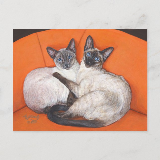 Cosy Couple Siamese Cat Postkarte (Vorderseite)