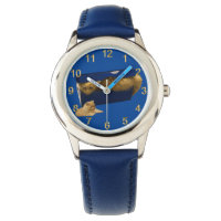 "Cosy Hideaway: The Ginger Cat in the Showbox"