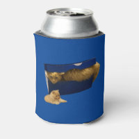 "Cosy Hideaway: The Ginger Cat in the Showbox"