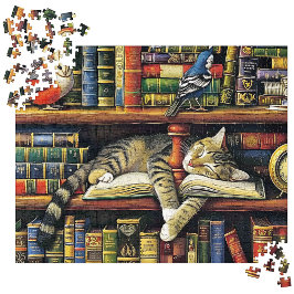 Cosy Multicolored Realistic Library Cat Scene
