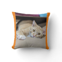 "Cosy Orange Tabby Katzenkissen - Warmer Felinenka
