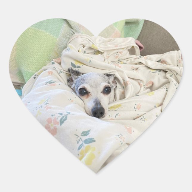 cosy pearl fille autocollant coeur (Devant)