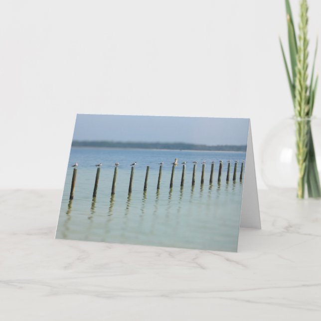 Côte du Golfe - Hang Out Cartes de voeux (Devant)