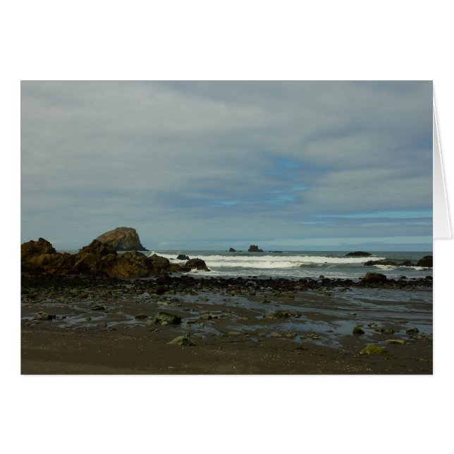 Côte du Pacifique à Redwood National Park (Devant horizontal)