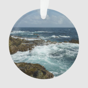 Côte rocheuse d'Aruba et océan bleu