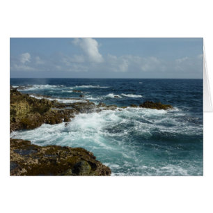 Côte rocheuse d'Aruba et océan bleu