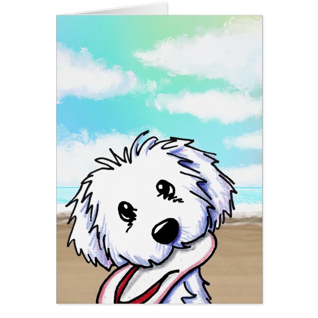 Coton de Tulear (Vorne)