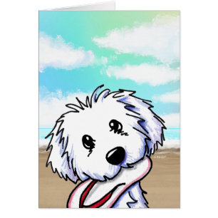 Coton de Tulear
