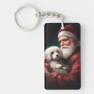 Coton De Tuléar Avec Le Père Noël De Noël
