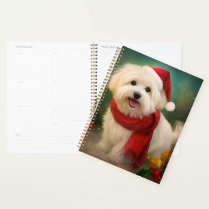 Coton De Tulear Chien dans la neige Noël