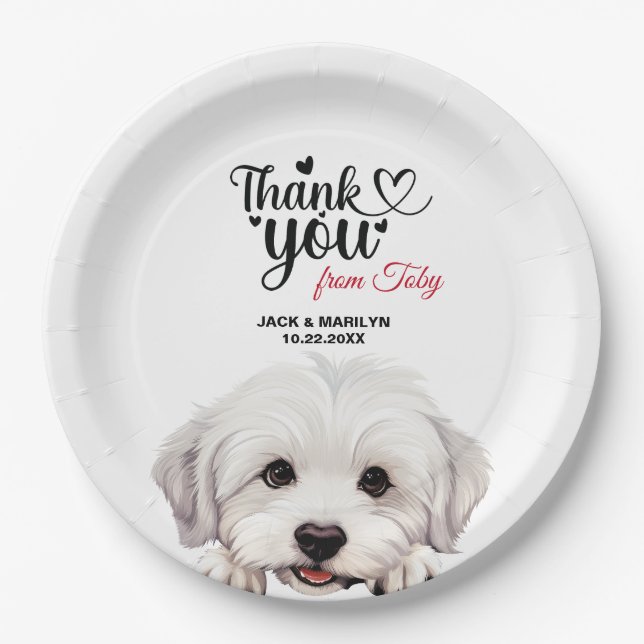 Coton De Tulear Dog Hochzeitsempfang Pappteller (Vorderseite)