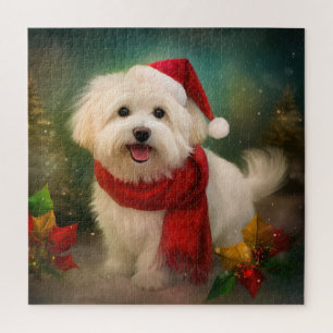 Coton De Tulear Dog in Schnee Weihnachten