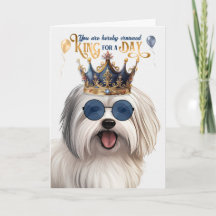 Coton de Tulear Dog King für den Tag Funny Birthda