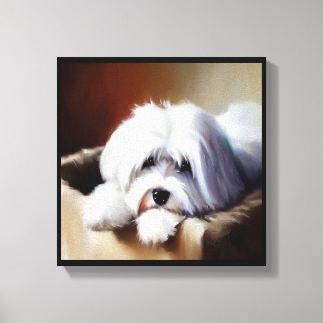 Coton de Tulear Dog Leinwanddruck (Vorderseite)