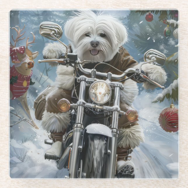 Coton De Tulear Dog Riding Motorrad Weihnachten Glasuntersetzer (Vorderseite)