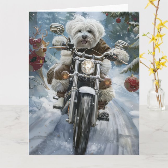 Coton De Tulear Dog Riding Motorrad Weihnachten Karte (Gelbe Blume)