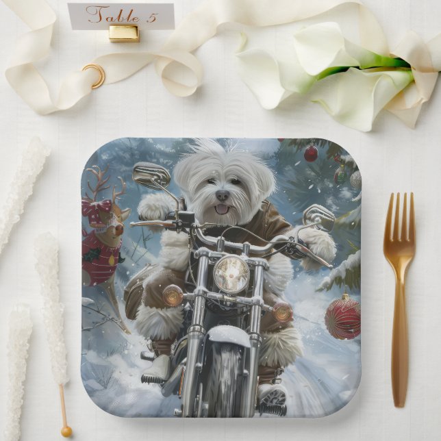 Coton De Tulear Dog Riding Motorrad Weihnachten Pappteller (Hochzeit)