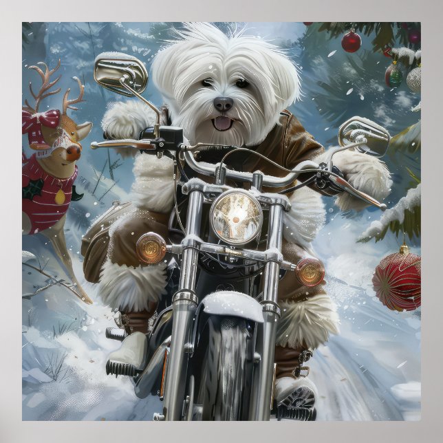 Coton De Tulear Dog Riding Motorrad Weihnachten Poster (Vorne)