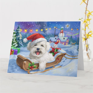 Coton De Tulear Dog Sleigh Schnee Weihnachten Karte
