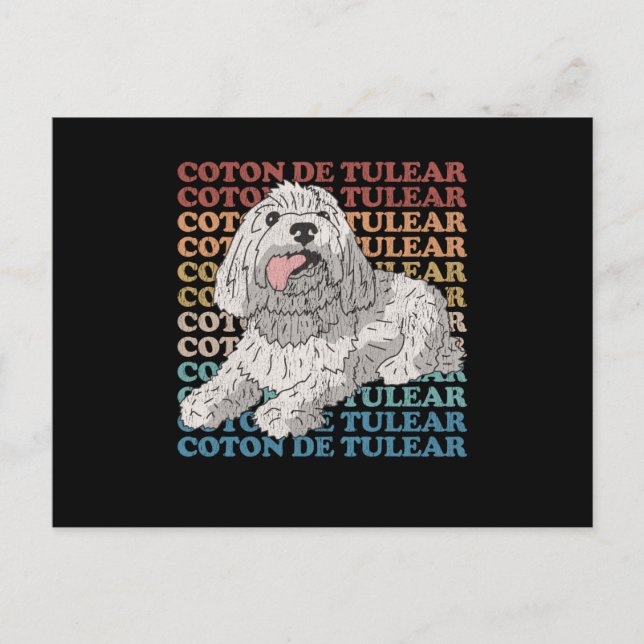 Coton de Tulear | Dogenbesitzer Coton de Tulears Postkarte (Vorderseite)