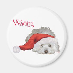 Coton de Tulear - Gewartet Magnet