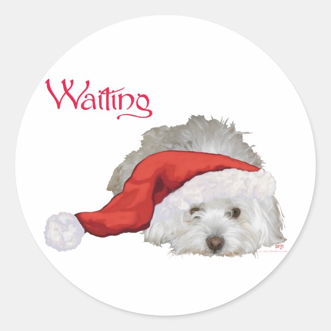 Coton de Tulear - Gewartet Runder Aufkleber (Vorderseite)