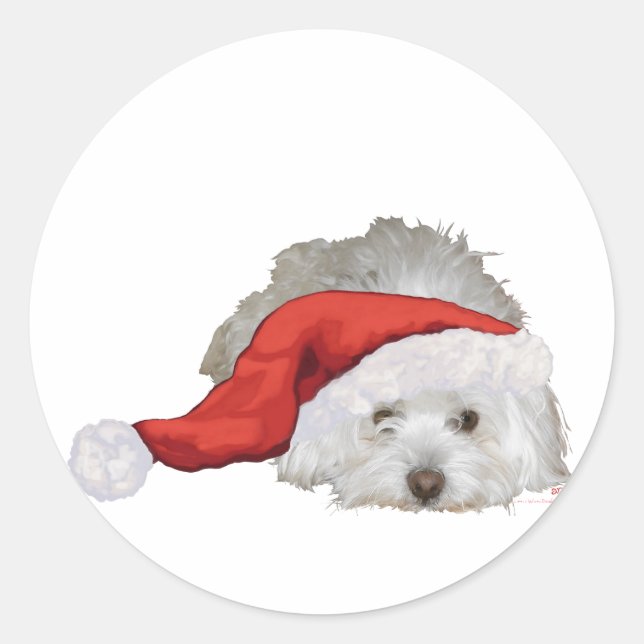 Coton de Tulear - Gewartet Runder Aufkleber (Vorderseite)