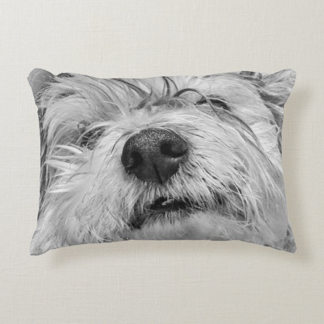 Coton de Tulear Hund Dekokissen (Vorderseite)