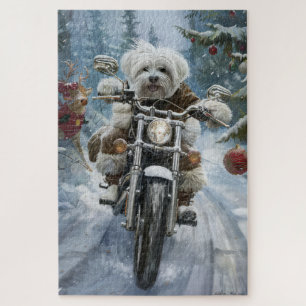 Coton De Tulear Hund fährt Motorrad Weihnachten