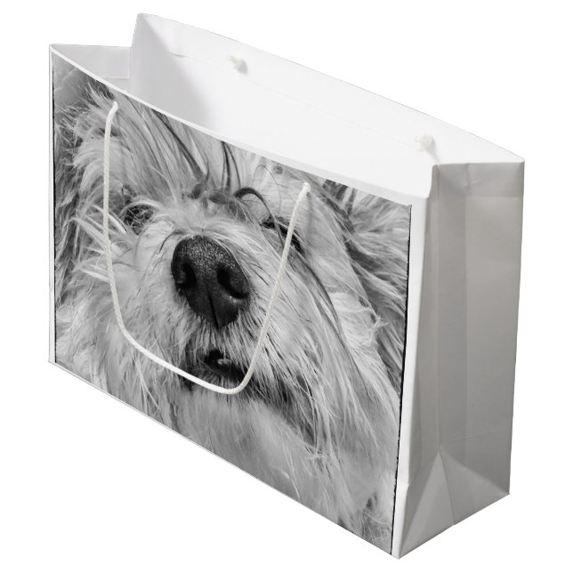 Coton de Tulear Hund Große Geschenktüte (Vorderseite Schrägansicht)