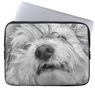 Coton de Tulear Hund Laptopschutzhülle