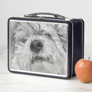 Coton de Tulear Hund Metall Brotdose