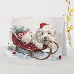Coton De Tulear Hund Weihnachtsfestlich Karte
