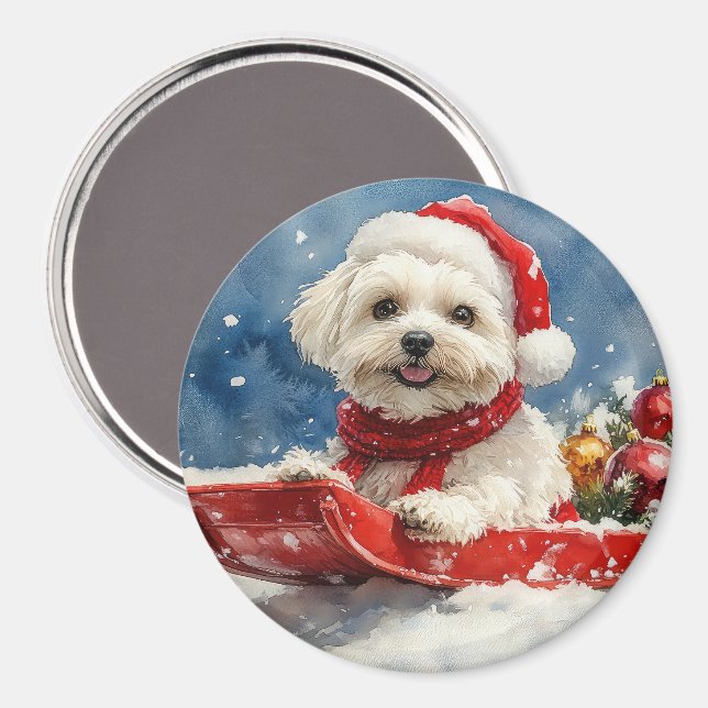 Coton De Tulear in Sledge Let it Snow Christmas Magnet (Vorderseite/Rückseite)