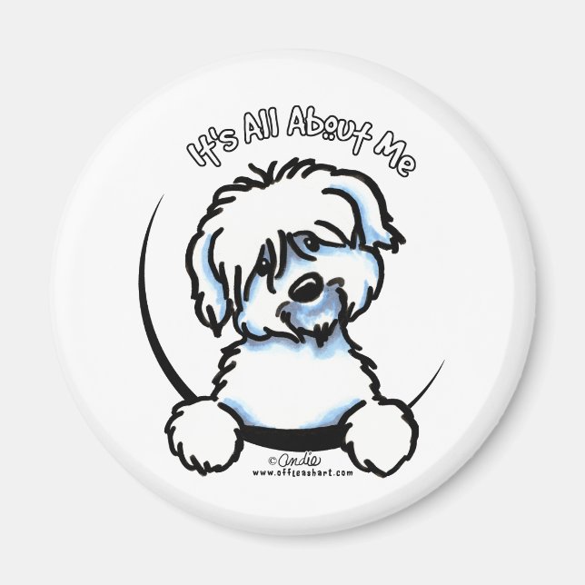 Coton de Tulear ist alles über mich Magnet (Vorne)