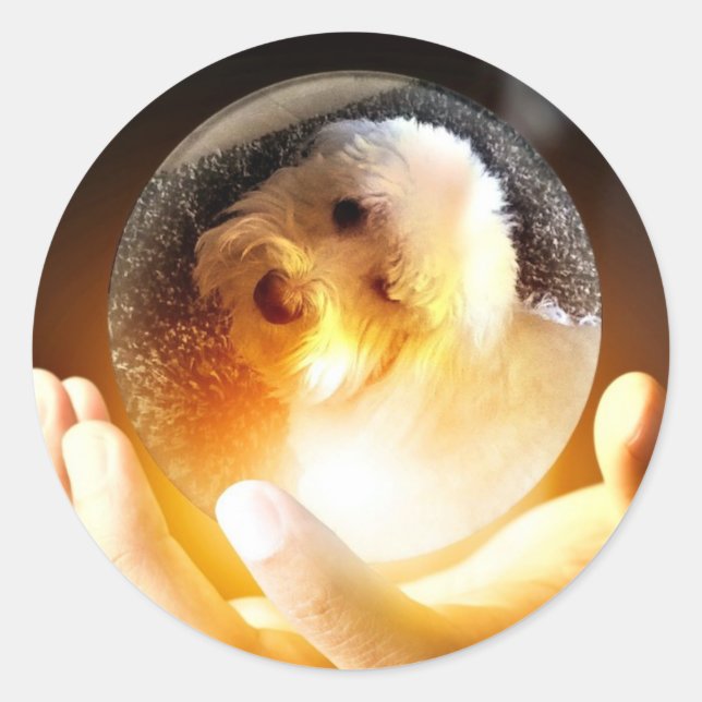 Coton de Tulear Magic Runder Aufkleber (Vorderseite)