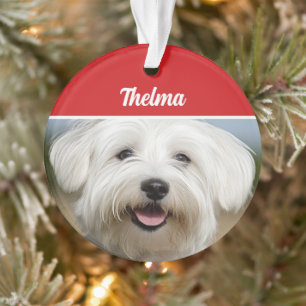Coton de Tulear Name Foto Weihnachten Ornament