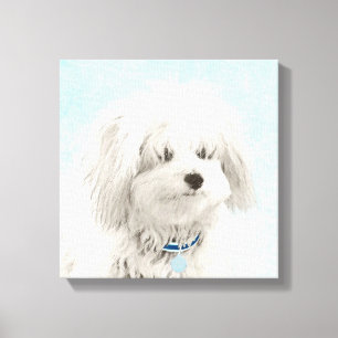 Coton de Tulear Painting - Niedliche Original Dog  Leinwanddruck