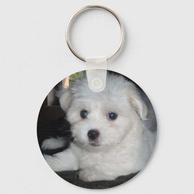 Coton De Tulear Schlüsselanhänger (Vorderseite)