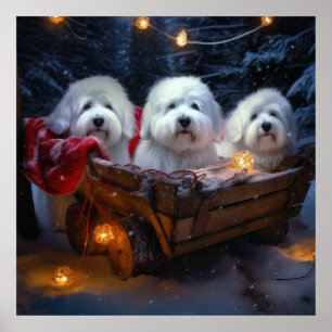 Coton De Tulear Snowy Sleigh Weihnachtsdekor Poster