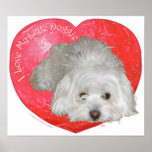 Coton de Tulear Valentinstag Poster