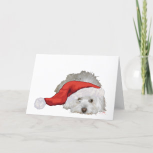Coton de Tulear - Wartend Feiertagskarte