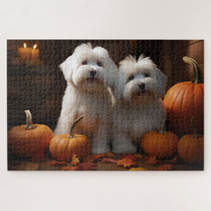 Coton De Tulear Welpe Herbstfreude Kürbis 