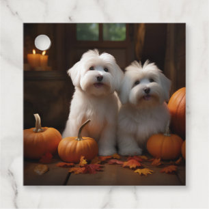 Coton De Tulear Welppy Autumn Delight Pumpkin Geschenkanhänger