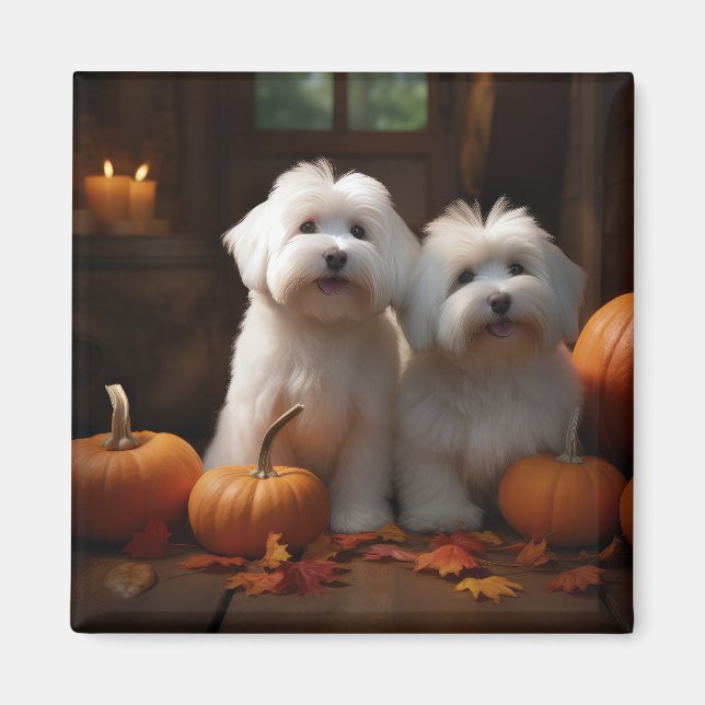 Coton De Tulear Welppy Autumn Delight Pumpkin Magnet (Vorne)