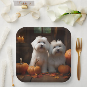 Coton De Tulear Welppy Autumn Delight Pumpkin Pappteller