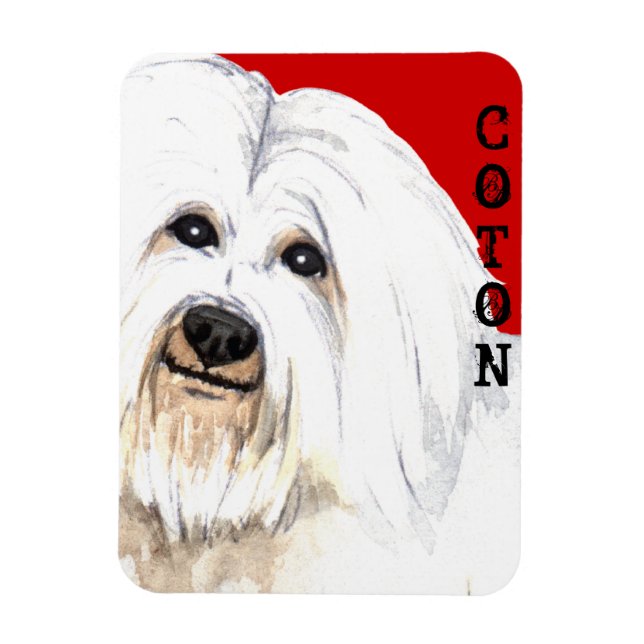Coton-Farbblock Magnet (Vertikal)